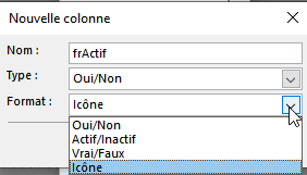 choisir un champ de type oui/non