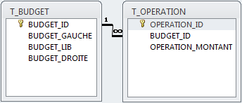 relation dans la fenetre microsoft acsess