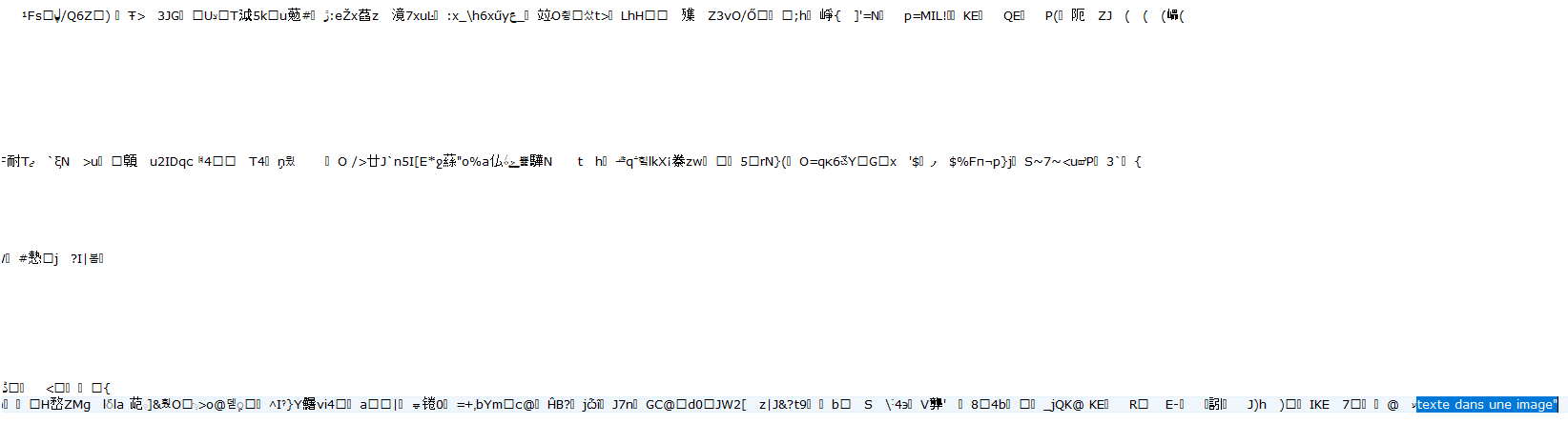 Le texte contenu dans l'image